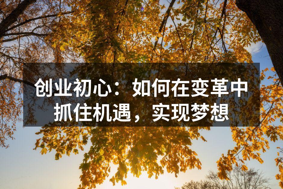 创业初心:如何在变革中抓住机遇,实现梦想