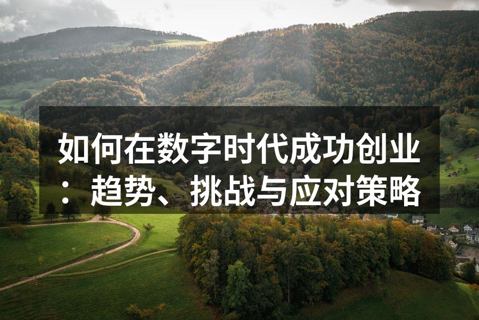 如何在数字时代成功创业：趋势、挑战与应对策略